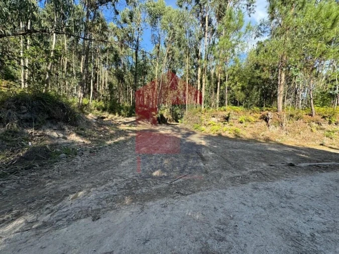 Quinta T0 para Venda em Pico de Regalados, Gondiães e Mós Foto 15