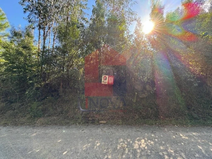 Quinta T0 para Venda em Pico de Regalados, Gondiães e Mós Foto 23