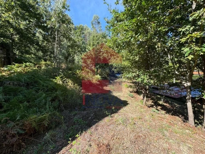 Quinta T0 para Venda em Pico de Regalados, Gondiães e Mós Foto 14