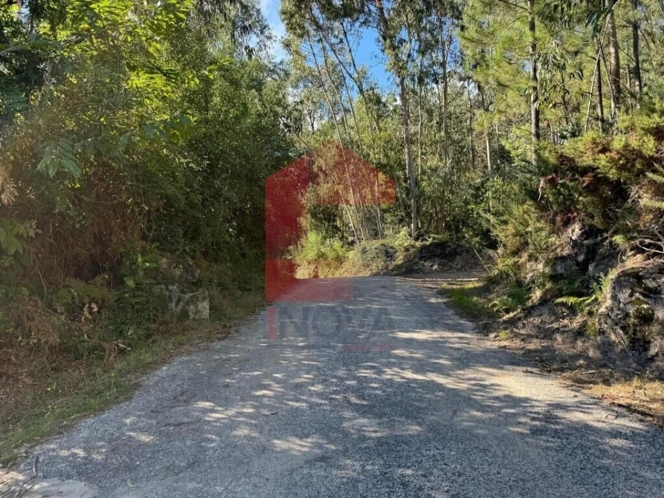 Quinta T0 para Venda em Pico de Regalados, Gondiães e Mós Foto 24