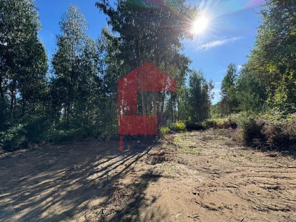 Quinta T0 para Venda em Pico de Regalados, Gondiães e Mós Foto 10