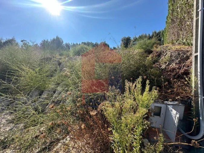 Terreno para Venda em Carreiras (São Miguel) e Carreiras (Santiago) Foto 4