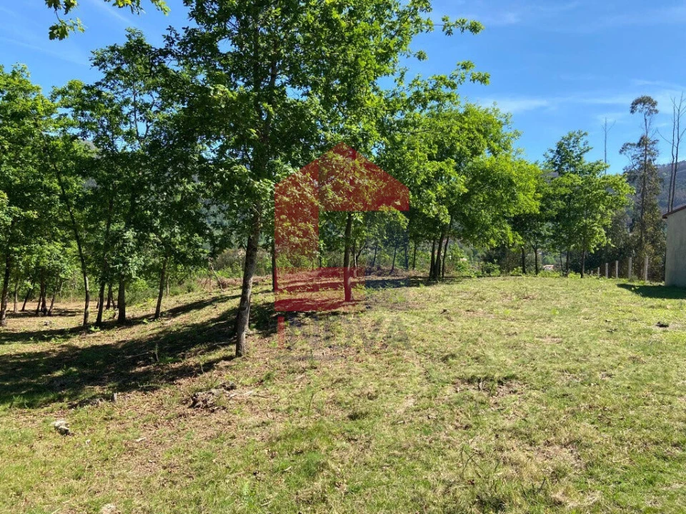 Terreno para Venda em Valbom (São Pedro), Passô e Valbom (São Martinho) Foto 4
