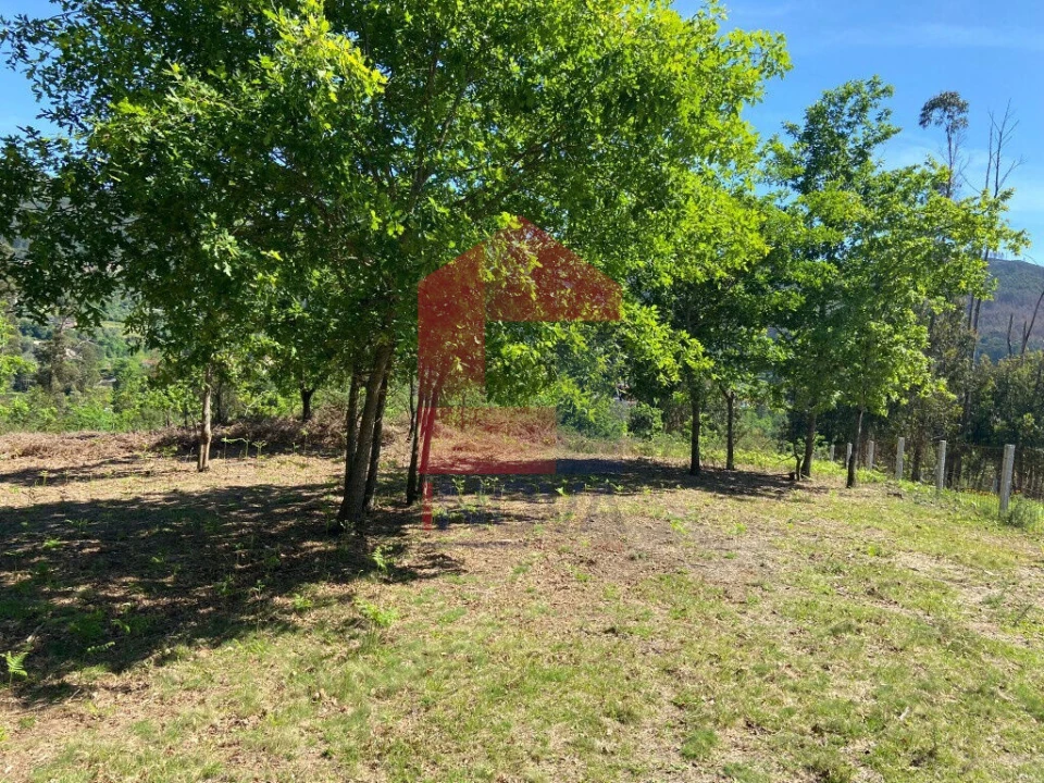 Terreno para Venda em Valbom (São Pedro), Passô e Valbom (São Martinho) Foto 7