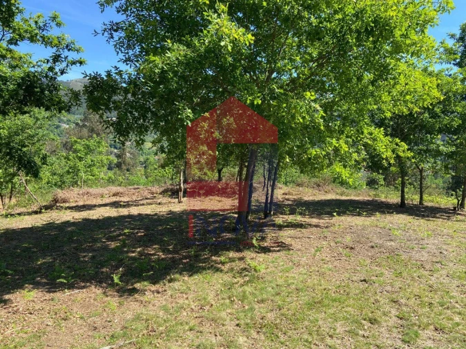 Terreno para Venda em Valbom (São Pedro), Passô e Valbom (São Martinho) Foto 10