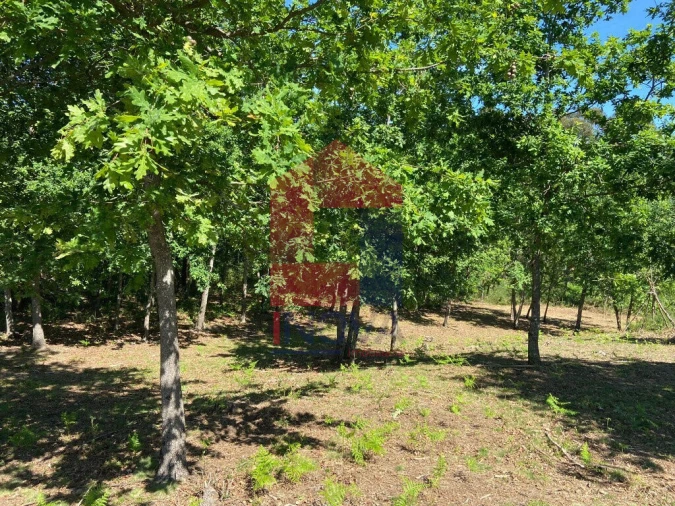 Terreno para Venda em Valbom (São Pedro), Passô e Valbom (São Martinho) Foto 9