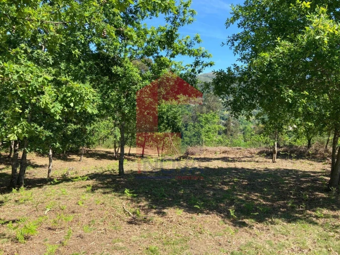 Terreno para Venda em Valbom (São Pedro), Passô e Valbom (São Martinho) Foto 6