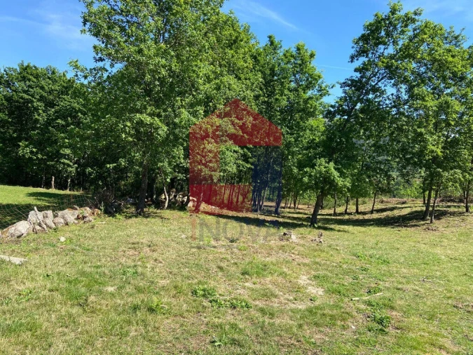 Terreno para Venda em Valbom (São Pedro), Passô e Valbom (São Martinho) Foto 3