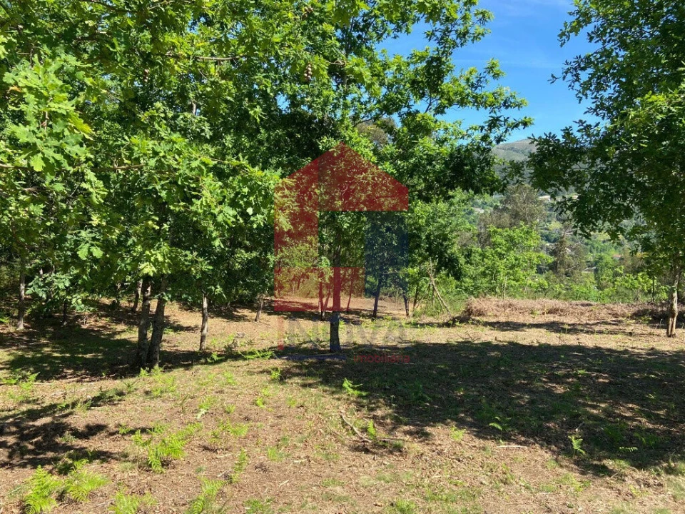 Terreno para Venda em Valbom (São Pedro), Passô e Valbom (São Martinho) Foto 8