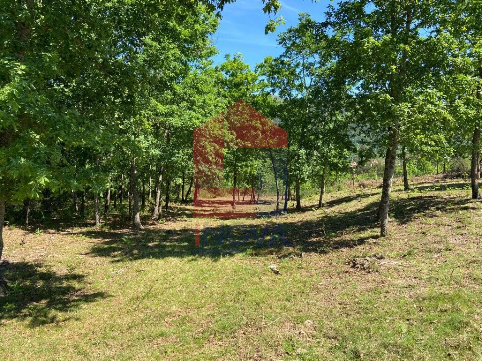 Terreno para Venda em Valbom (São Pedro), Passô e Valbom (São Martinho) Foto 5