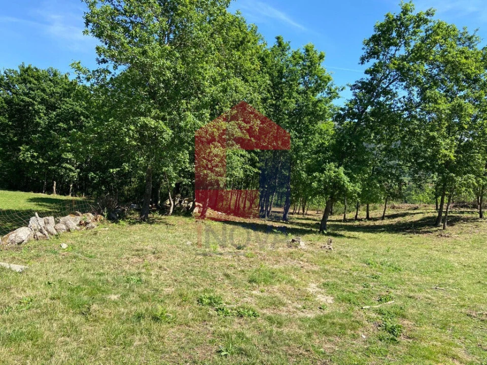 Terreno para Venda em Valbom (São Pedro), Passô e Valbom (São Martinho) Foto 3