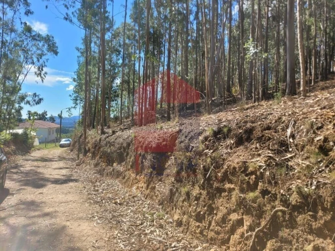 Terreno para Venda em Marrancos e Arcozelo