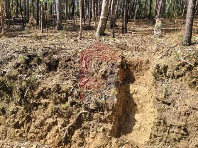 Terreno para Venda em Marrancos e Arcozelo Foto 9