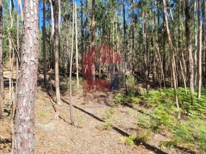 Terreno para Venda em Marrancos e Arcozelo Foto 7