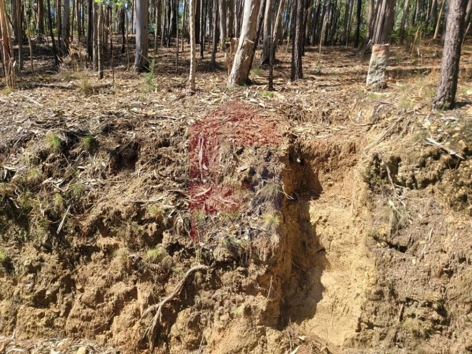 Terreno para Venda em Marrancos e Arcozelo Foto 9