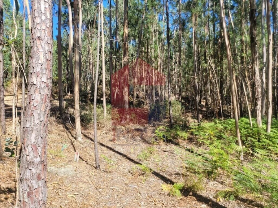 Terreno para Venda em Marrancos e Arcozelo Foto 7