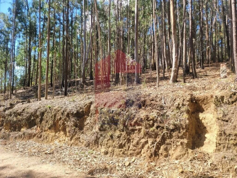 Terreno para Venda em Marrancos e Arcozelo Foto 12