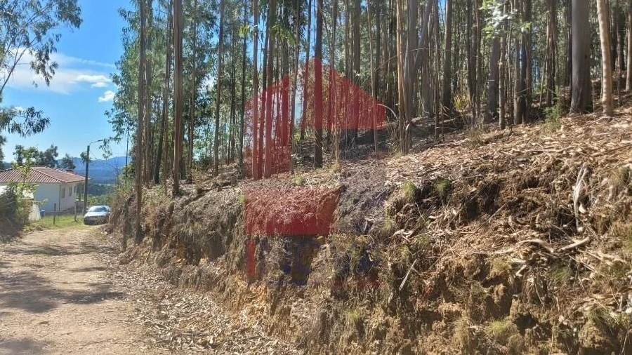 Terreno para Venda em Marrancos e Arcozelo