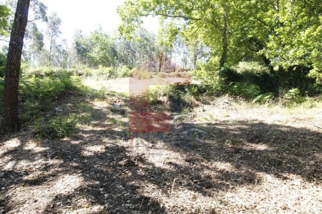 Moradia T1 para Venda em Verim, Friande e Ajude Foto 19