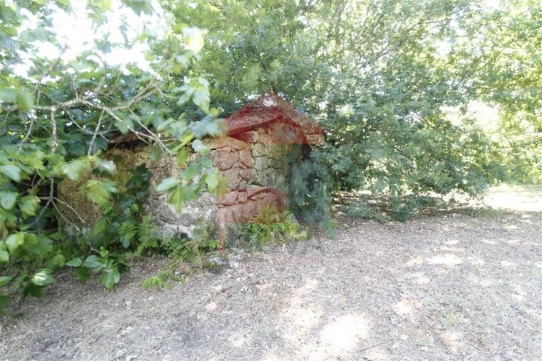 Moradia T1 para Venda em Verim, Friande e Ajude Foto 11