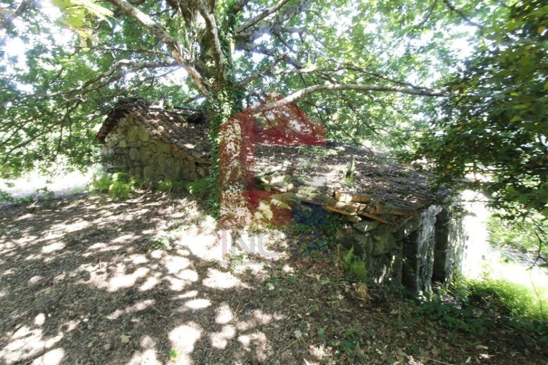 Moradia T1 para Venda em Verim, Friande e Ajude Foto 15