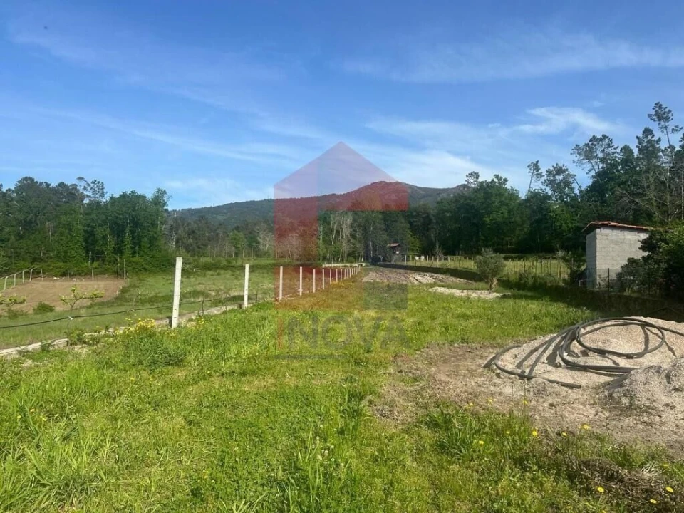 Terreno para Venda em Torre e Portela Foto 5