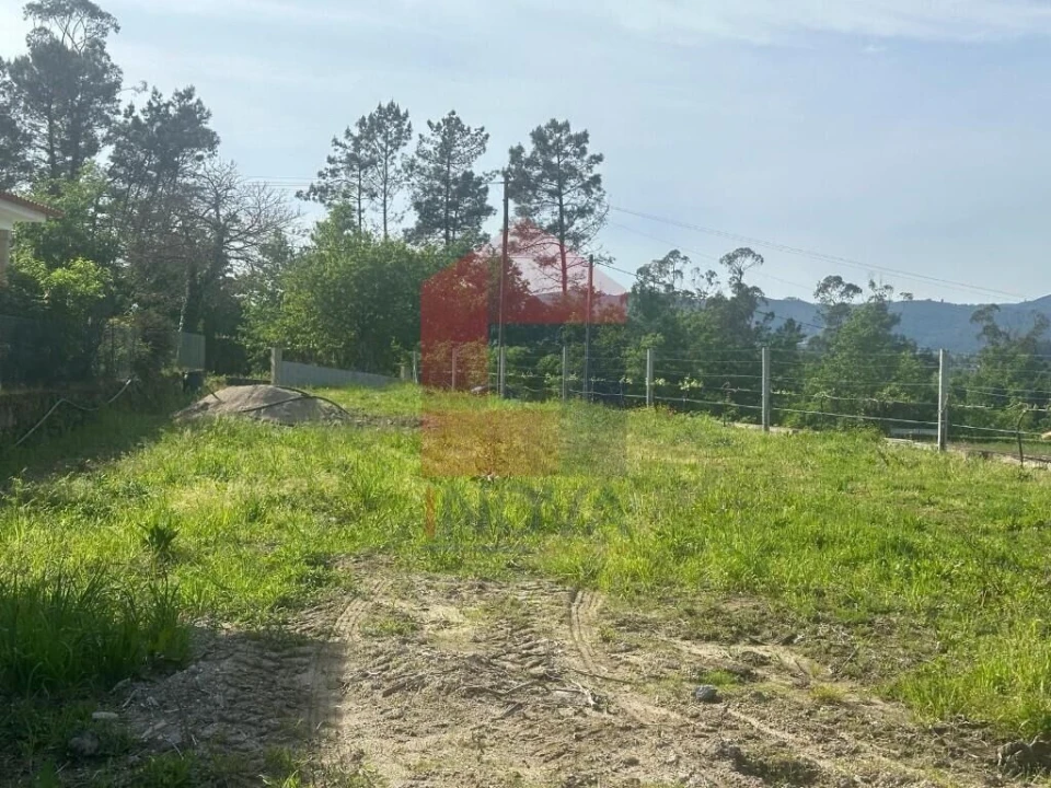 Terreno para Venda em Torre e Portela Foto 15