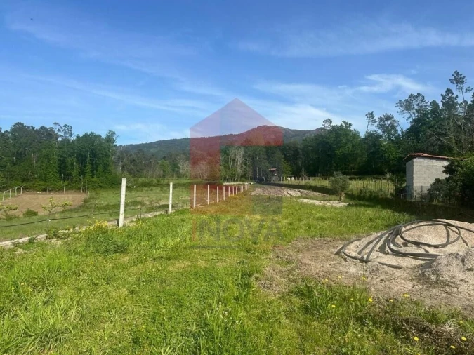 Terreno para Venda em Torre e Portela Foto 5