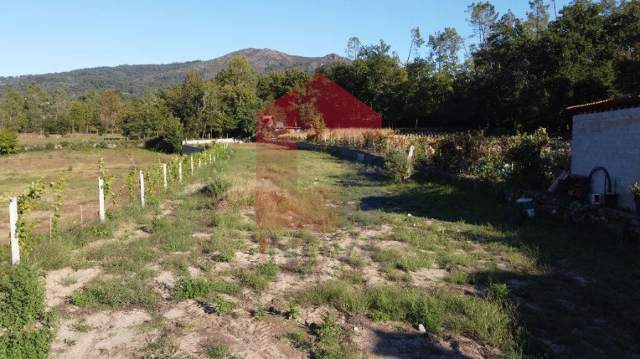 Terreno para Venda em Torre e Portela Foto 21