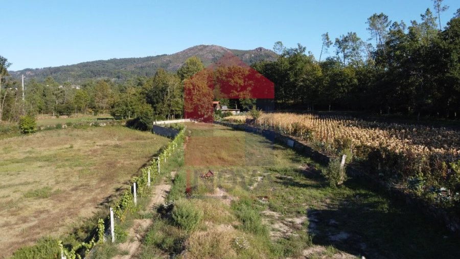 Terreno para Venda em Torre e Portela Foto 23