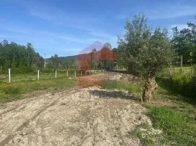 Terreno para Venda em Torre e Portela Foto 12