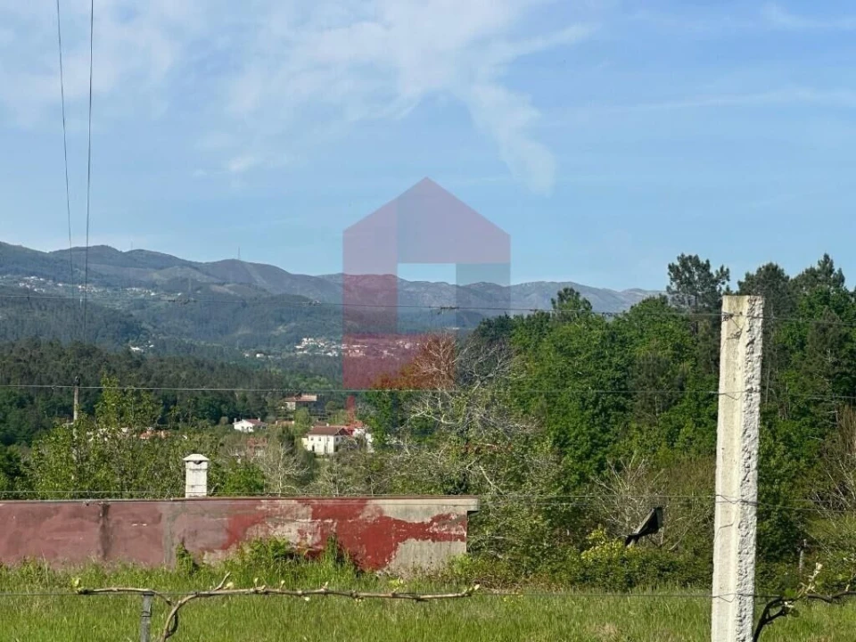 Terreno para Venda em Torre e Portela Foto 10