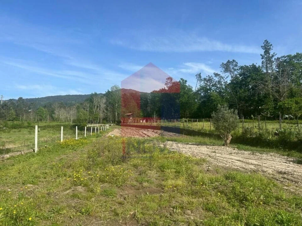 Terreno para Venda em Torre e Portela Foto 11