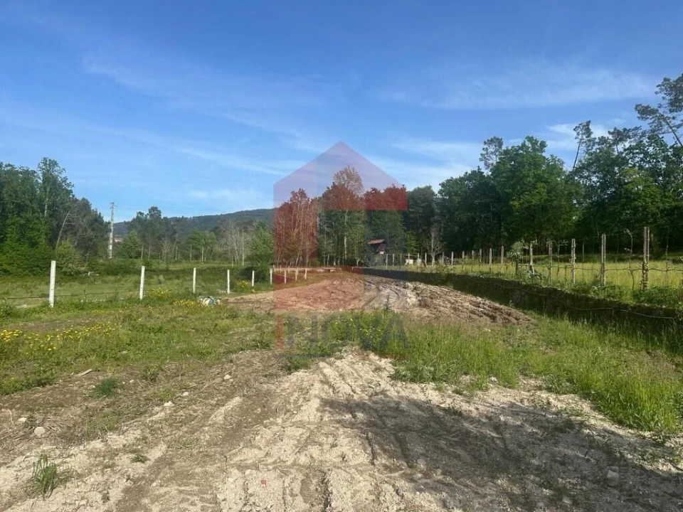 Terreno para Venda em Torre e Portela Foto 18