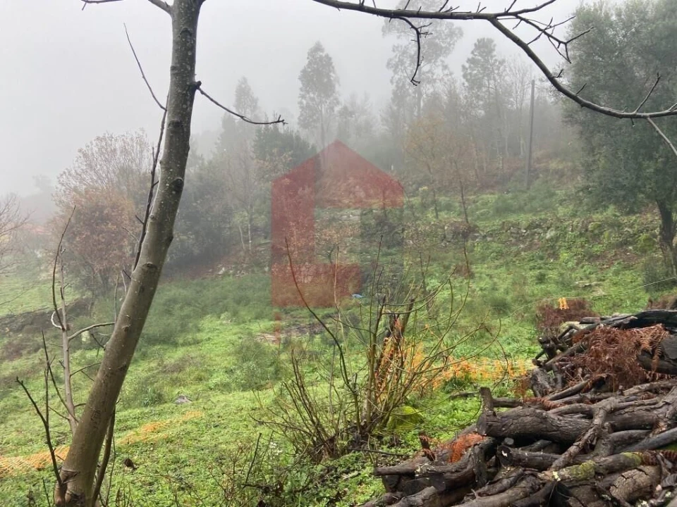 Terreno para Venda em Sande, Vilarinho, Barros e Gomide Foto 6