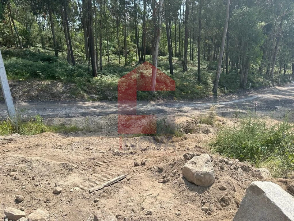 Terreno para Venda em Esqueiros, Nevogilde e Travassós Foto 5