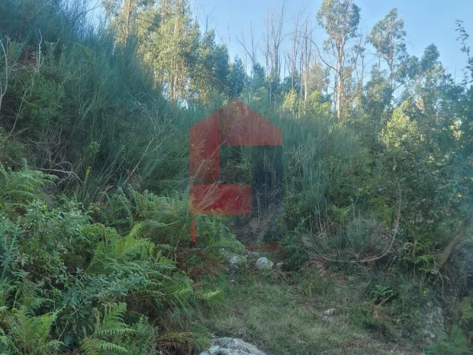 Terreno para Venda em Carreiras (São Miguel) e Carreiras (Santiago) Foto 3