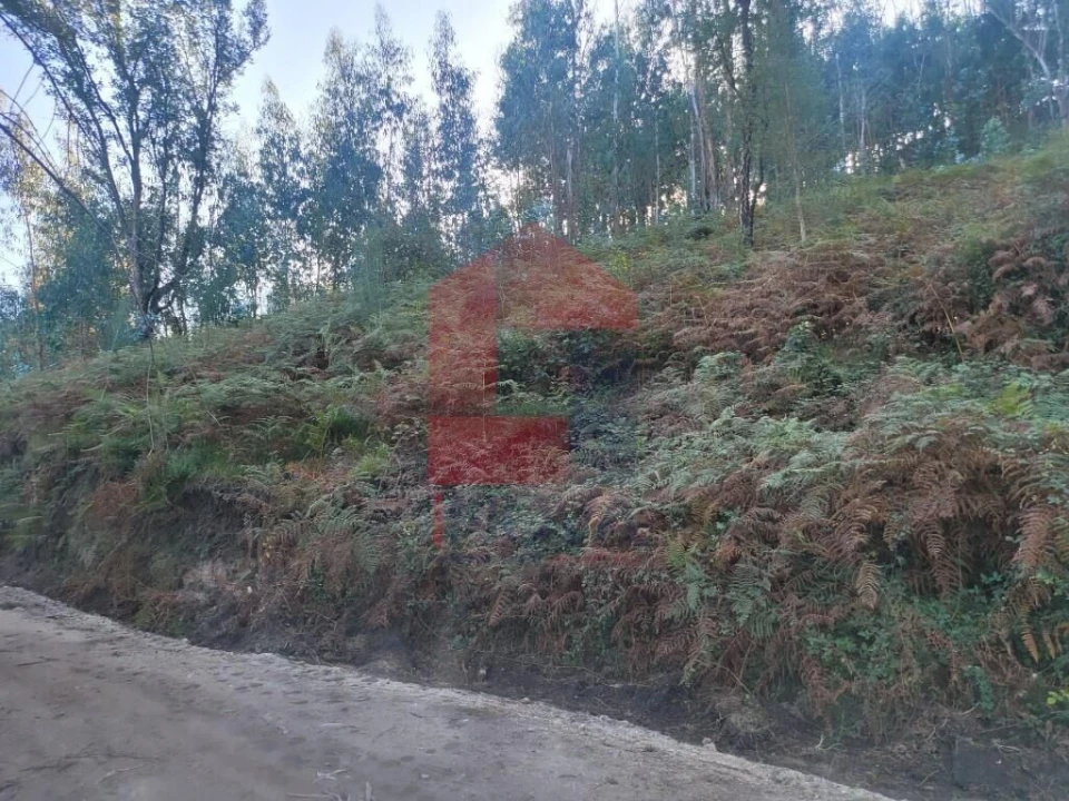 Terreno para Venda em Carreiras (São Miguel) e Carreiras (Santiago) Foto 2