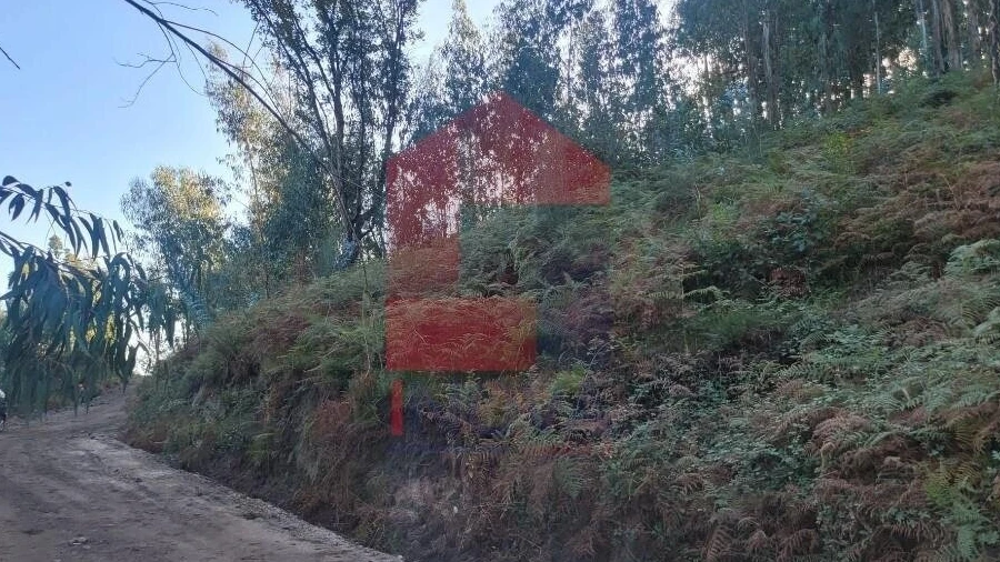 Terreno para Venda em Carreiras (São Miguel) e Carreiras (Santiago)