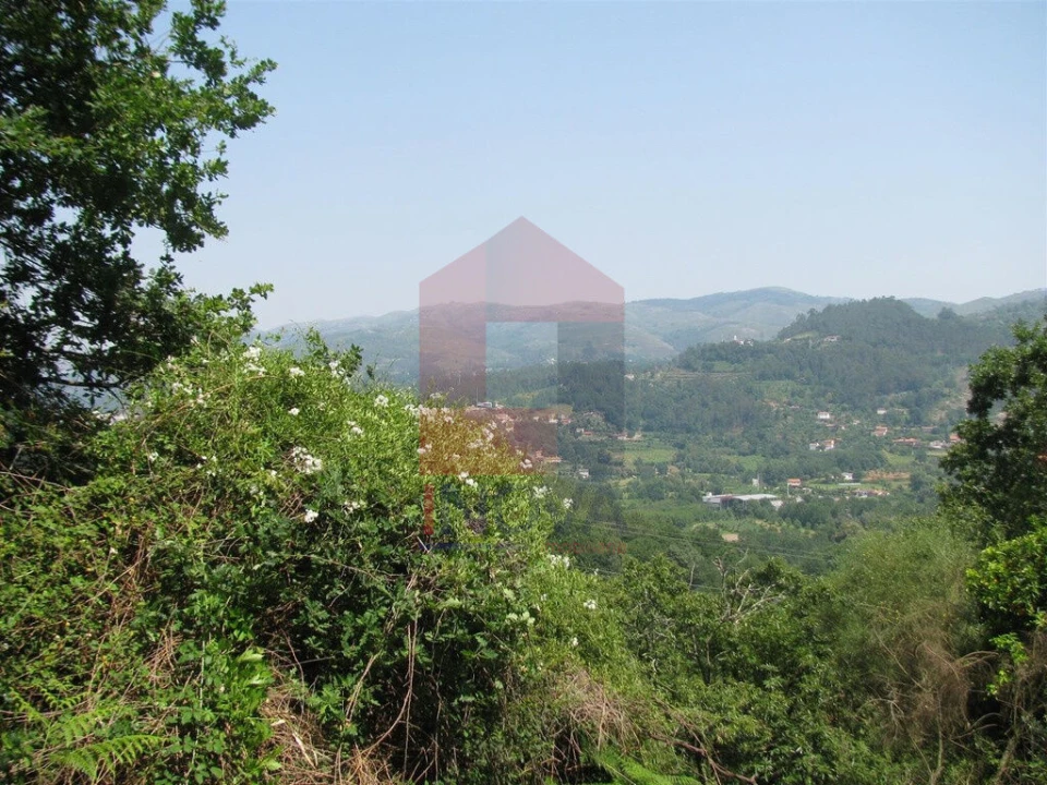 Terreno para Venda em Valbom (São Pedro), Passô e Valbom (São Martinho) Foto 4