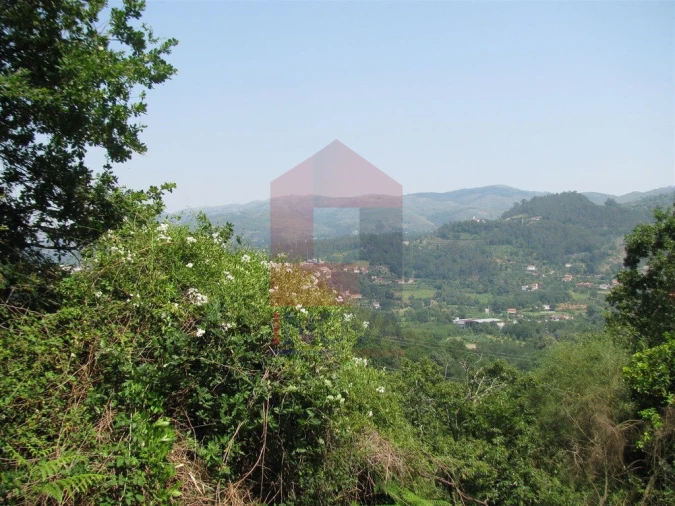 Terreno para Venda em Valbom (São Pedro), Passô e Valbom (São Martinho) Foto 4
