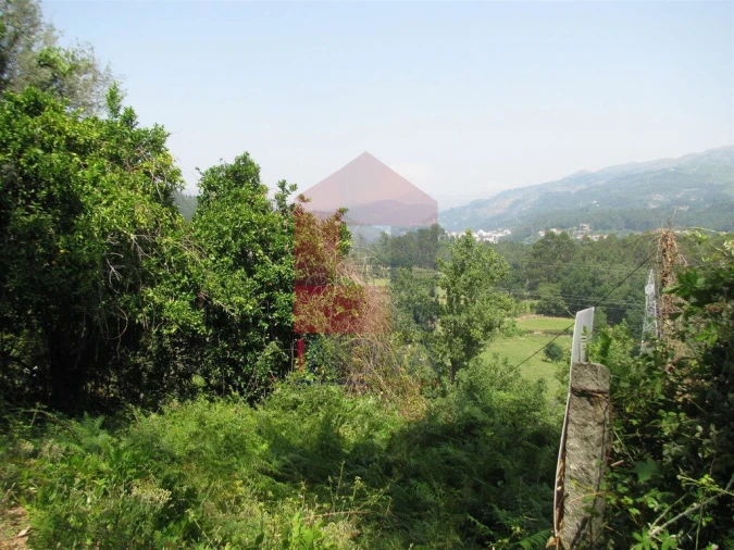Terreno para Venda em Valbom (São Pedro), Passô e Valbom (São Martinho) Foto 2