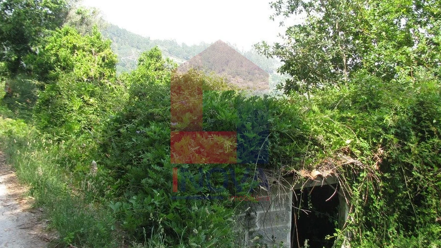 Terreno para Venda em Valbom (São Pedro), Passô e Valbom (São Martinho)