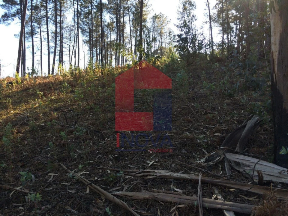 Terreno para Venda em Carreiras (São Miguel) e Carreiras (Santiago) Foto 10