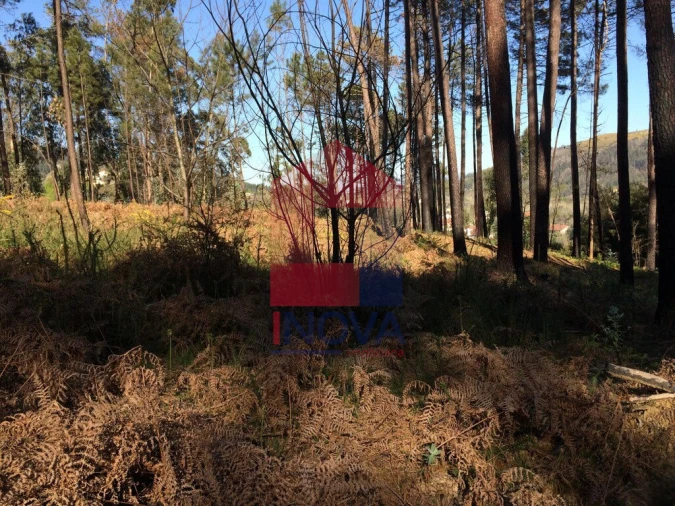 Terreno para Venda em Carreiras (São Miguel) e Carreiras (Santiago) Foto 7