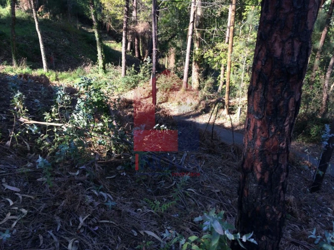 Terreno para Venda em Carreiras (São Miguel) e Carreiras (Santiago) Foto 12