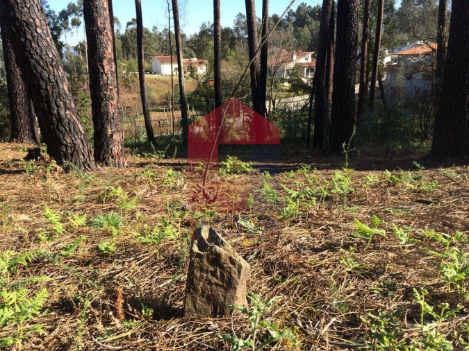 Terreno para Venda em Carreiras (São Miguel) e Carreiras (Santiago) Foto 6