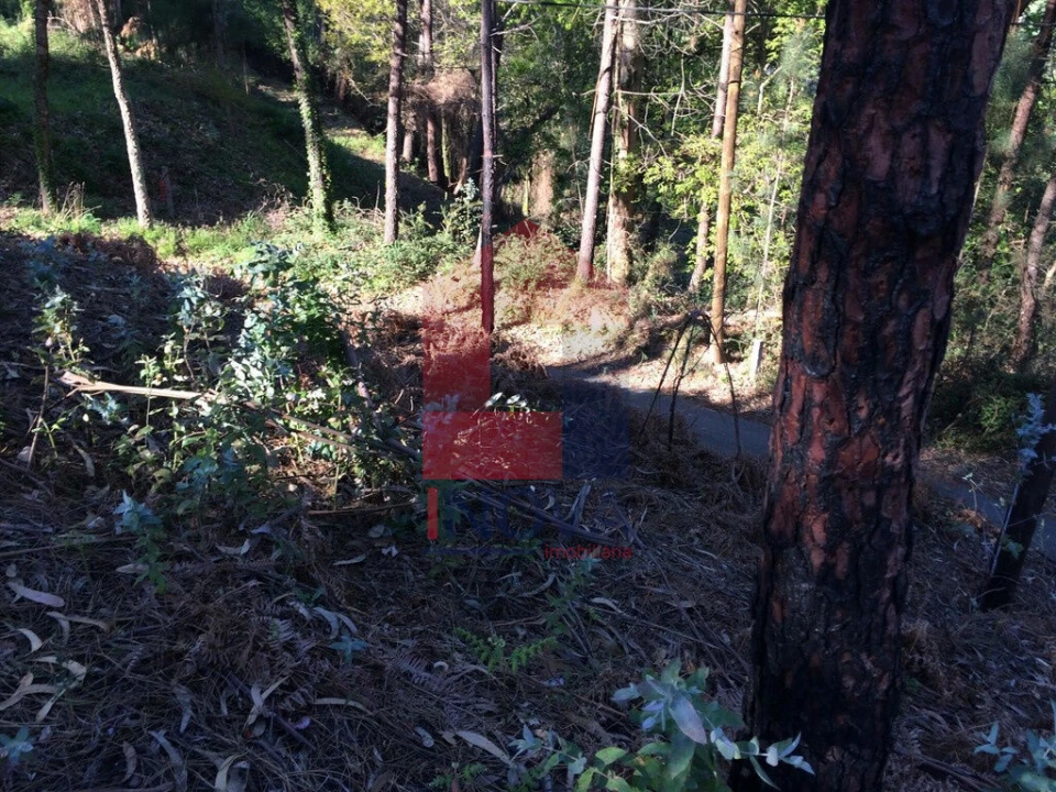 Terreno para Venda em Carreiras (São Miguel) e Carreiras (Santiago) Foto 12