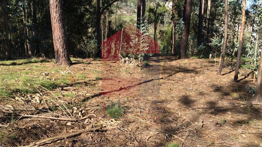 Terreno para Venda em Carreiras (São Miguel) e Carreiras (Santiago)