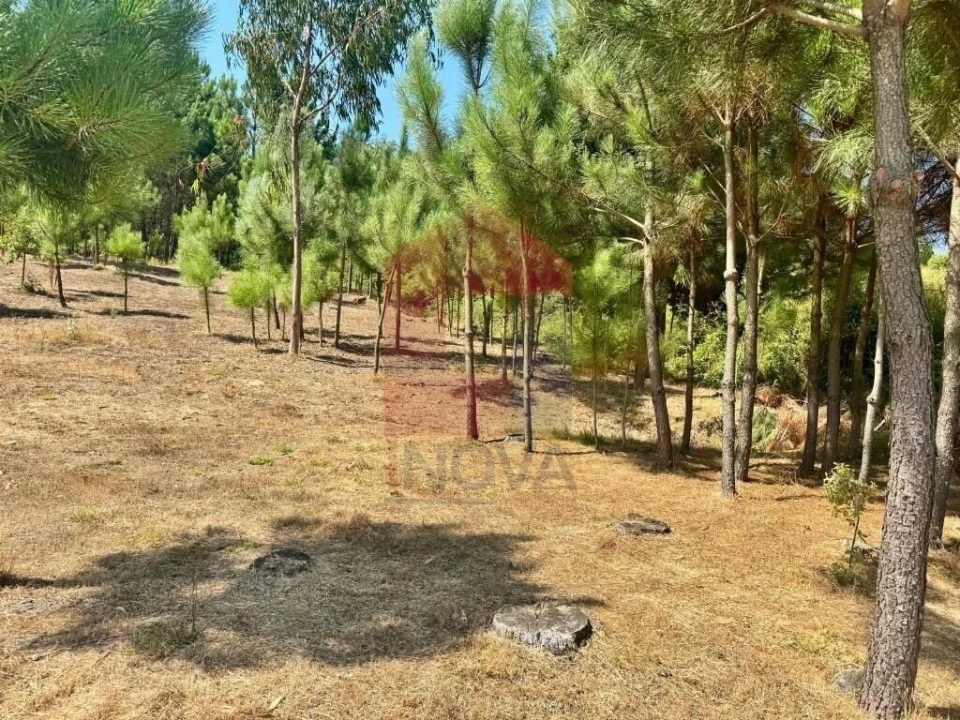 Terreno para Venda em Esqueiros, Nevogilde e Travassós Foto 7
